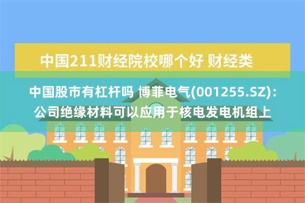   中国股市有杠杆吗 博菲电气(001255.SZ)：公司绝缘材料可以应用于核电发电机组上
