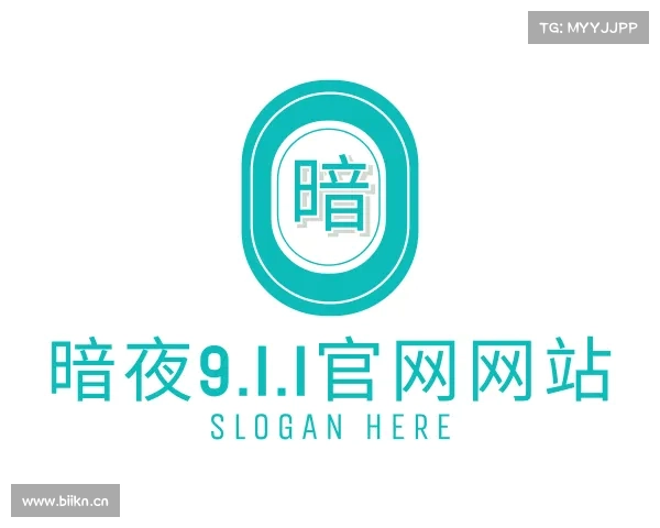 发现暗夜9.1.1官网网站入口